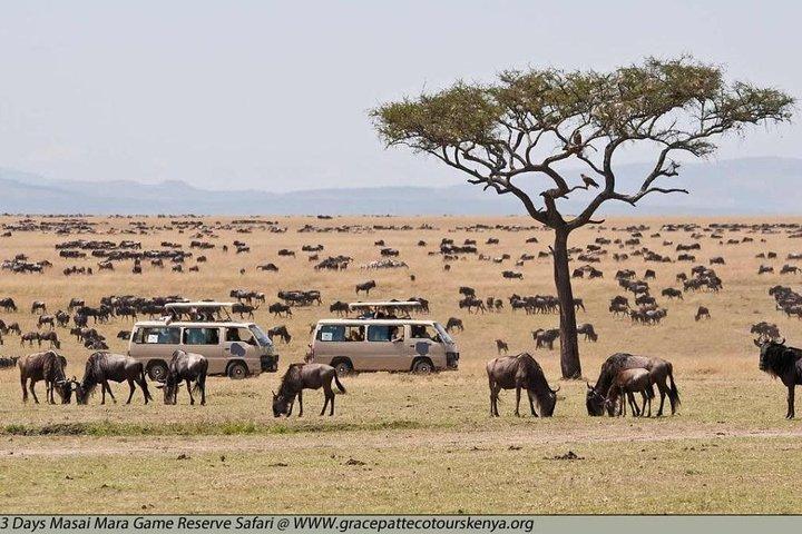 3-Days Masai Mara Group Joining Safari - Daily Departures