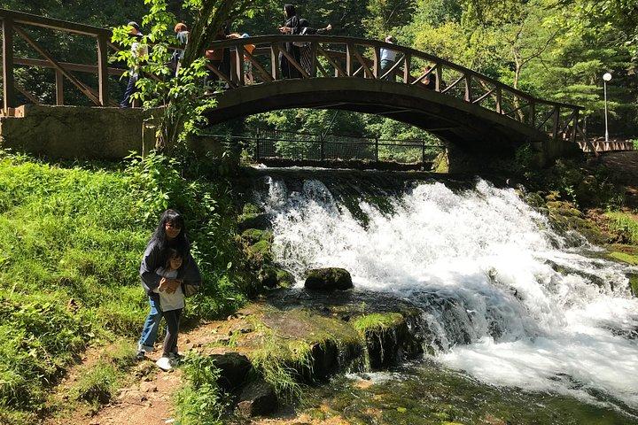 サラエボ: オリンピック山とボスナ川の泉ツアー