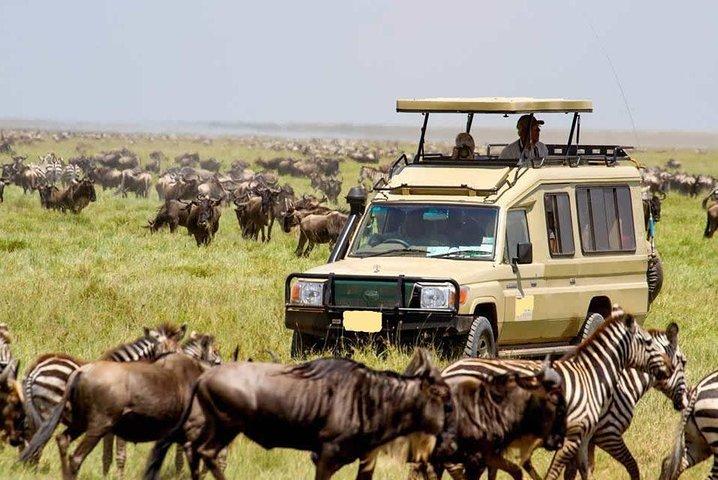 Safari di 6 giorni in Kenya Luxury Lodge: Amboseli, Tsavo West, Tsavo East Safari privato