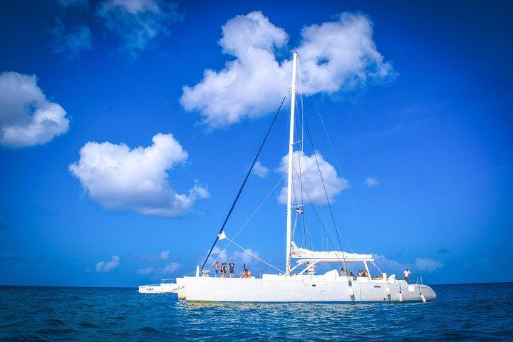 Heldagsutflykt på Saona Island