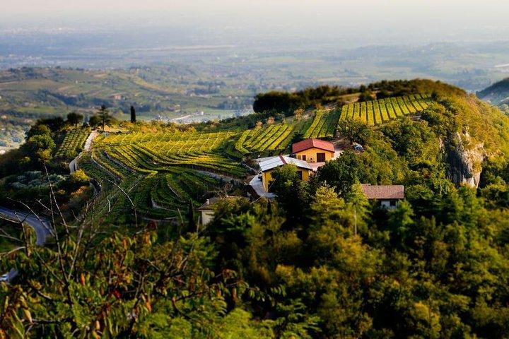 Da Verona: Valpolicella wine tour experience