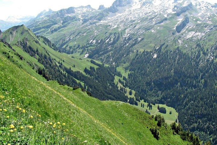 Tour escursionistico privato da picco a picco da Lucerna