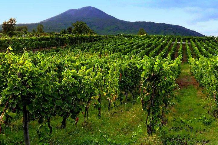 Besuchen Sie Sorrent, Pompeji & genießen Sie das Wine-Tasting Mittagessen (8-stündige Tour)