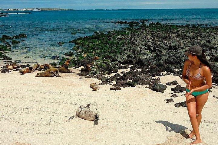 Galapagos - Udforsk San Cristobal Island 4 dage