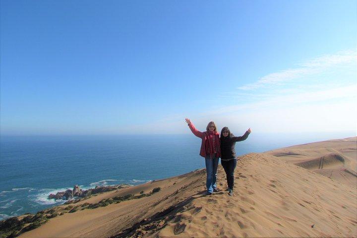 Full-Day Private Bike Tour af Concon Viña del Mar og Valparaiso fra Santiago