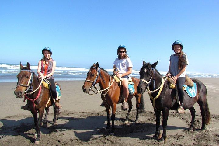 Viña del Mar och Valparaiso Private Tour inklusive ridning