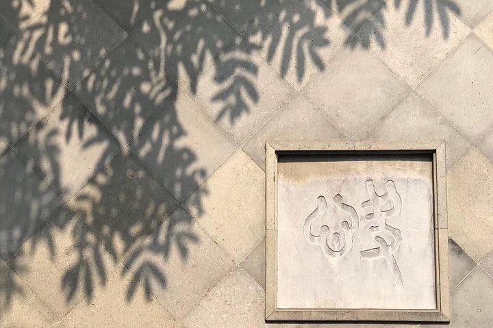 Visite privée d'une journée à Shanghai avec une dégustation de boulettes