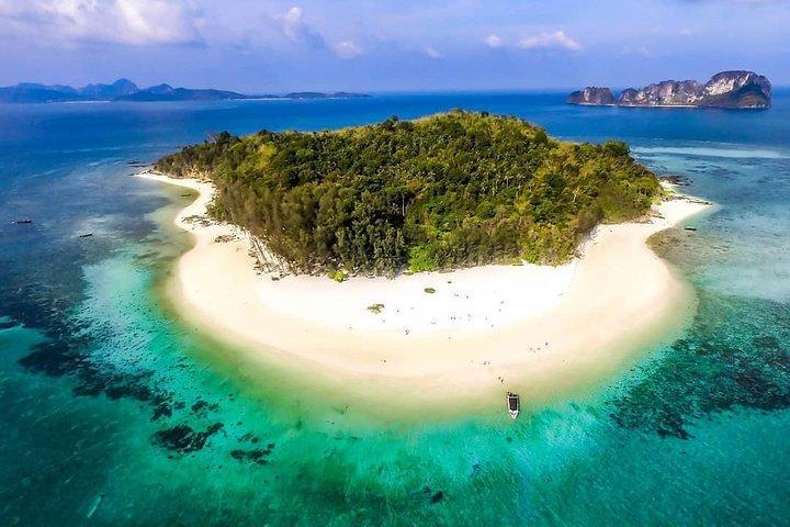 Tour de snorkel en las islas Phi Phi y Bamboo con almuerzo en lancha rápida