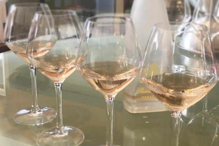 Lille gruppe Halvdags Languedoc Vin og Olive Tour fra Montpellier