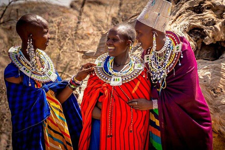 9 Tage Kenia und Tansania Wildlife Experience
