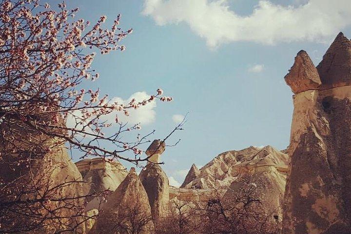 Tour giornaliero privato della Cappadocia settentrionale - Museo all'aperto di Goreme