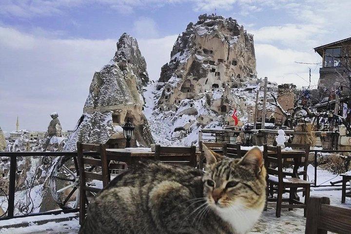 Tour giornaliero privato della Cappadocia settentrionale - Museo all'aperto di Goreme
