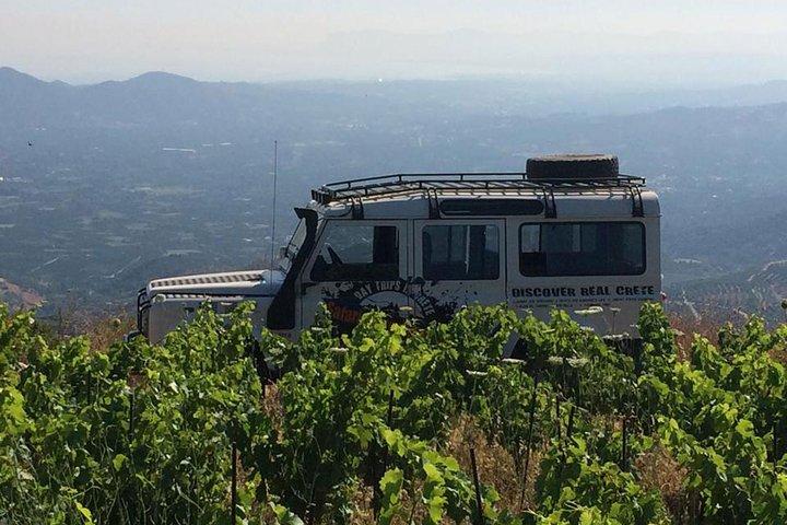 Crete's Wine and Olives Safari Tour from Chania