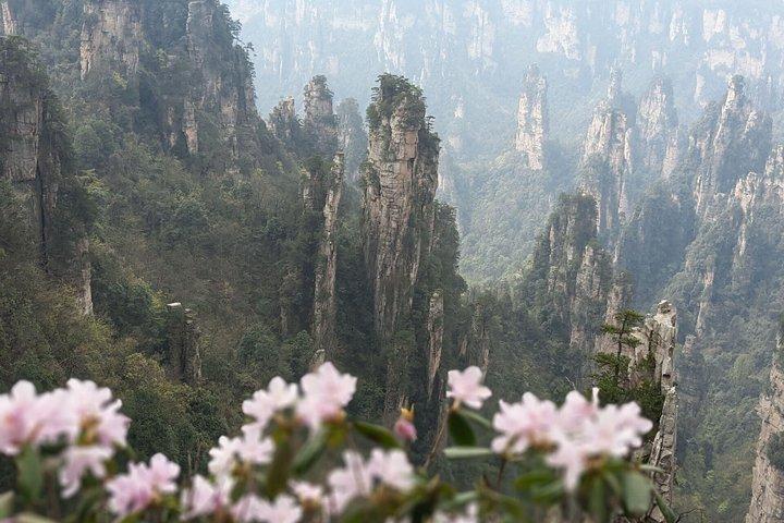 Tour privato di 1 giorno di Zhangjiajie Avatar World Nature Hiking