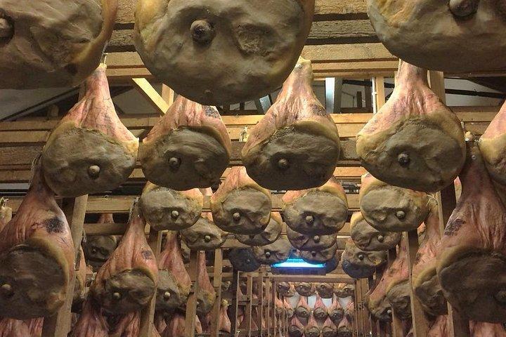 中世の城壁のある町、ルネッサンス様式の別荘、陶磁器、南エウガナン丘陵