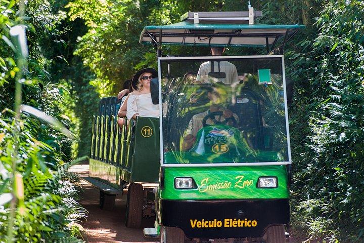 イグアス滝ブラジル側ボートツアー付き！