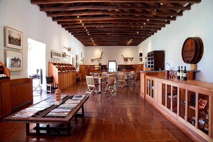 Kleine Gruppe Maipo Vineyards Ganztägige Erfahrung mit optionalem Mittagessen