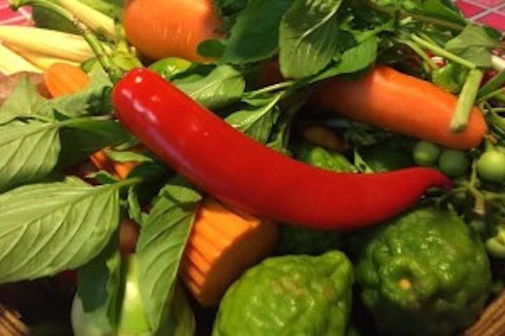 Vegetarian Culinary Adventure in Singapore