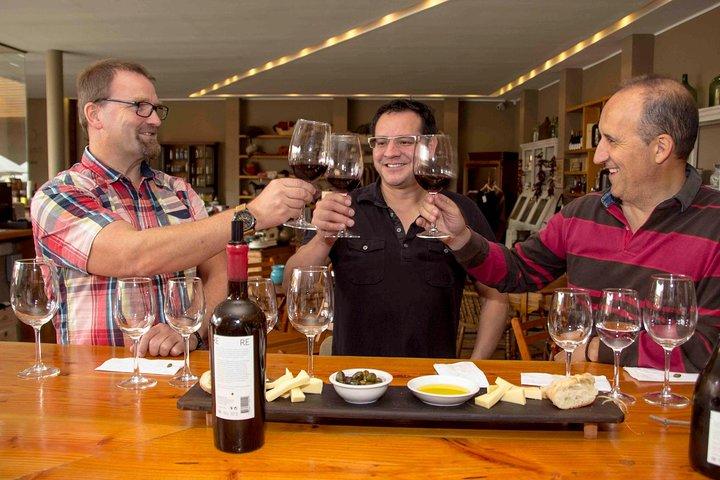 プライベートツアー：Viñadel MarとValparaísoツアー、カサブランカバレーでのワインテイスティング