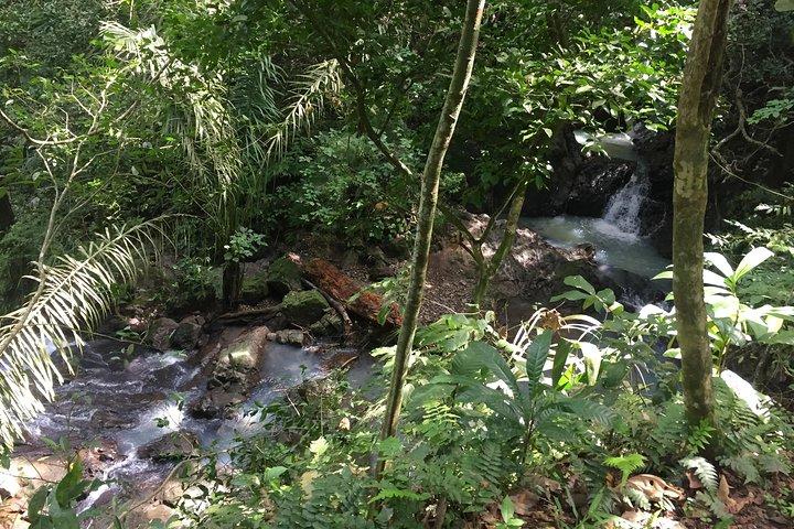 Soberania National Park Vandretur
