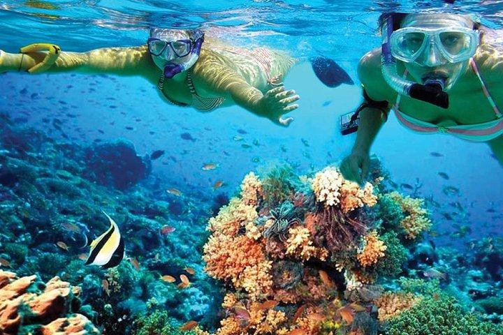 Descubra Isla Mujeres em catamarã. Buffet, Open Bar e Snorkel