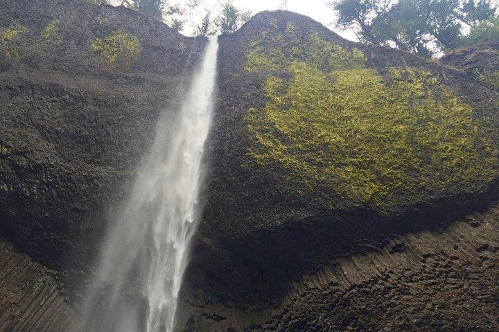 Explore Columbia River Gorge Half Day Small Group Tour