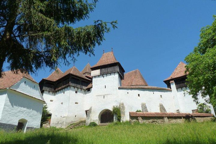 Fortified Church of Viscri og Sighisoara på spansk (indfødt spansk guide).