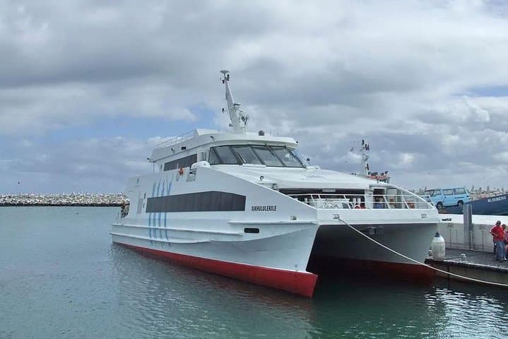 Cape Town Private Robben Island and Cape point Tour