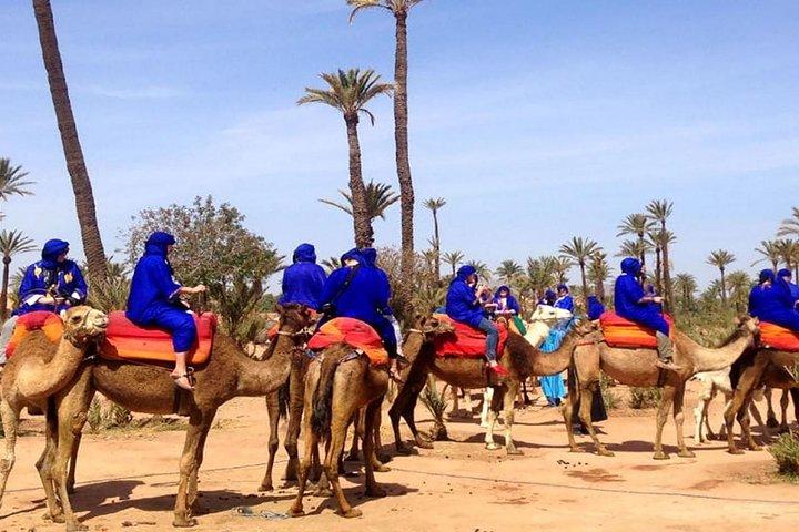 Kameelritervaring in Marrakech