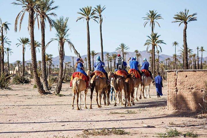 Kameelritervaring in Marrakech