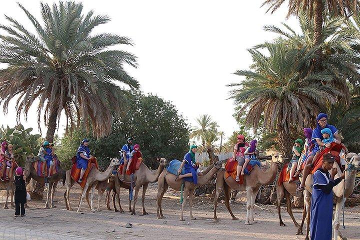 Kameelritervaring in Marrakech