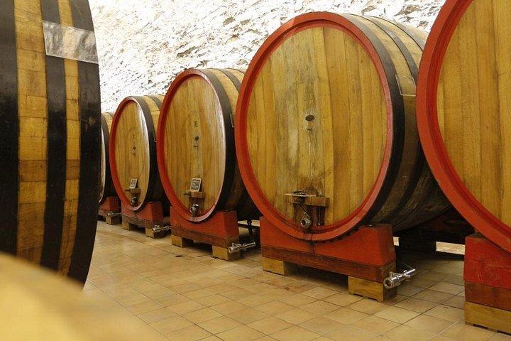 Vinprovning, Valpolicella källare besök, Amarone och röda viner region dagstur