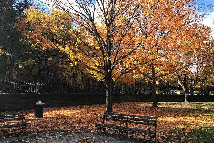 Rundgang durch Harlem: Mount Morris Park Historic District mit Mittagessen