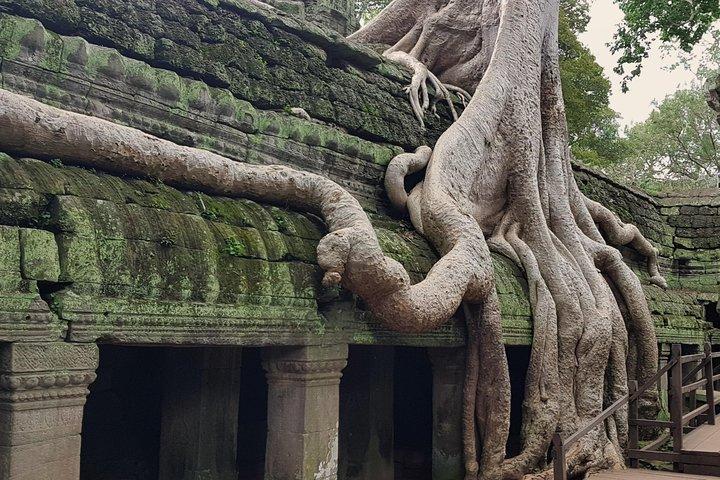 Private 1Day tour：アンコールBanteay sreiまたはピンクの女性寺院がある小さなツアー。