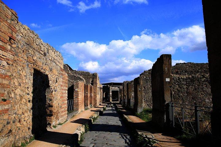 ファストアクセス専用プライベート古代ポンペイHerculaneum＆Oplontisガイド付きツアー