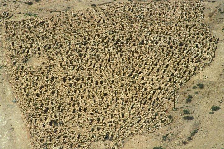 De Dilmun-beschaving