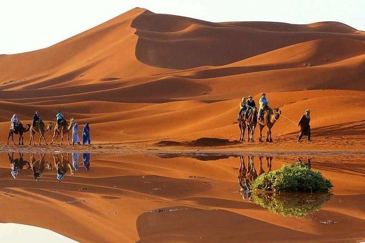 Fes To Fes Desert trip 2 days 1 night