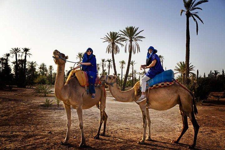 Camel ride i Marrakech (Palmerie)