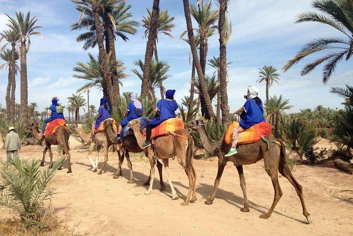 Quad och Camel rida i palmgrove i Marrakech