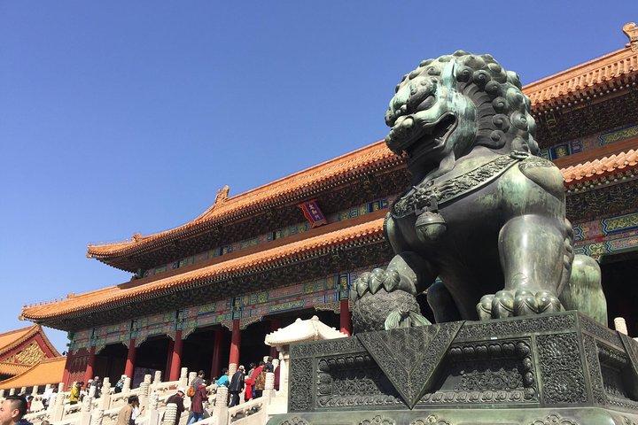 Tour in autobus per Città Proibita + Piazza Tian‘anMen + Tempio del Cielo