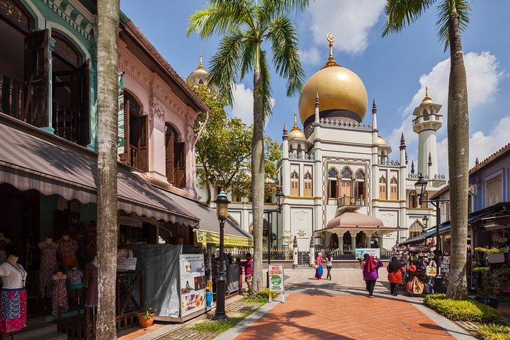 Private Singapore City Highlights Tour mit dem Auto - halber oder ganzer Tag