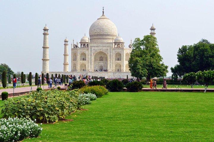 Delhi naar Agra: Dagelijkse groepsontsnappingen naar de Taj Mahal & Agra Fort