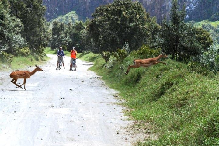 Hells Gate Excursion in Naivasha