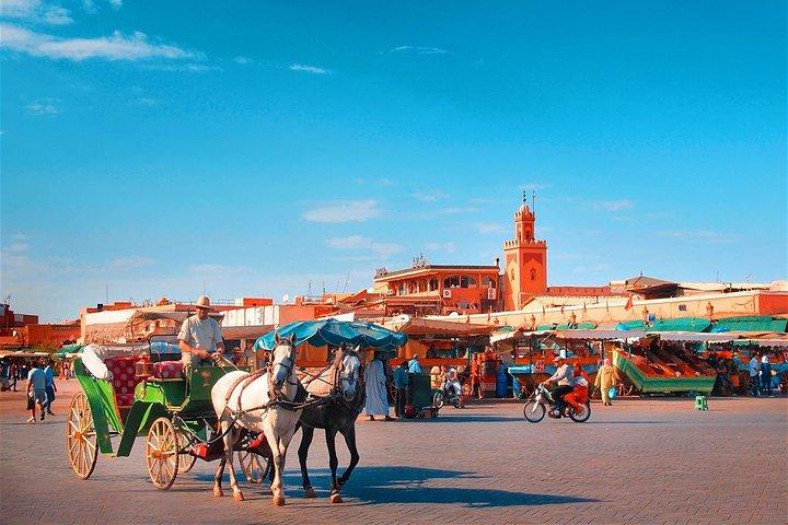 Visite guidée de Marrakech