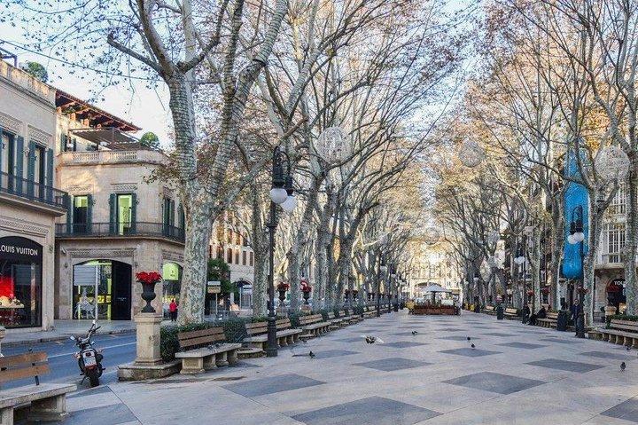 Visite guidée : vieille ville de Palma et visite de la cathédrale