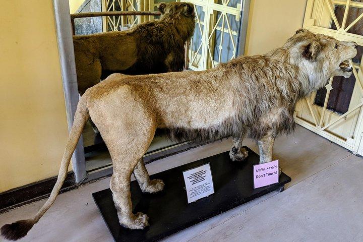 Explore lo mejor de Addis Ababa City Tour