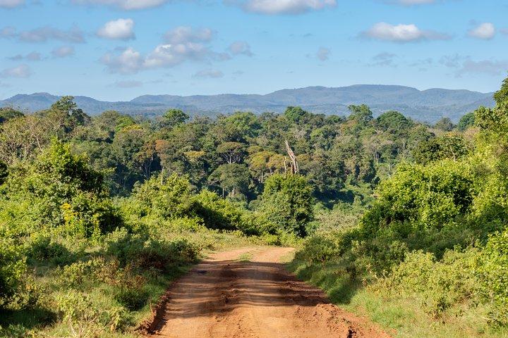 Aberdare National Park - zweitägige Tour