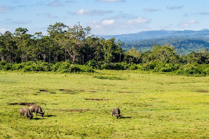 Aberdare National Park - zweitägige Tour