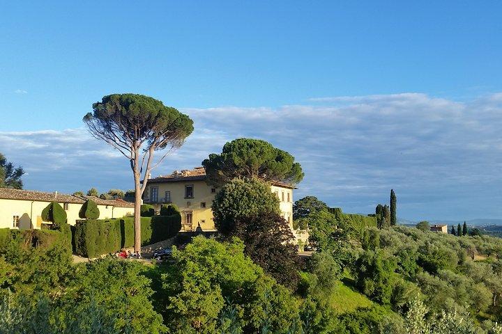 Small Group Wine Tasting in Tuscany with Vineyard Visit