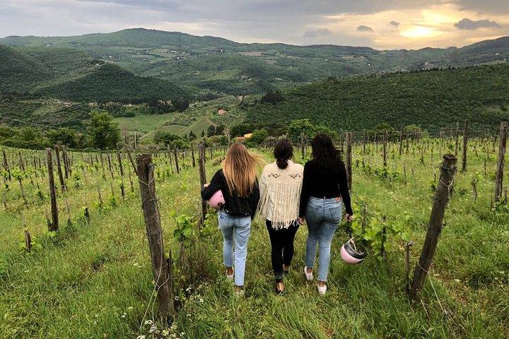 Small Group Wine Tasting in Tuscany with Vineyard Visit